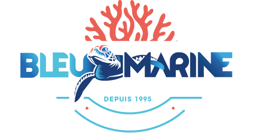 Bleu Marine Réunion