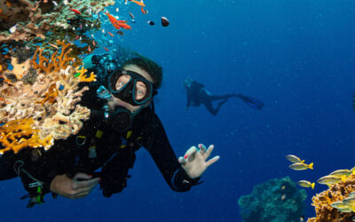 Sécurité en plongée à La Réunion : plongez en toute sécurité